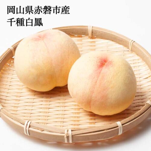 akaiwa-chigusahakuho.jpg 予約受付中 桃 白桃 千種白鳳 ギフト お中元 家庭用 訳あり 3玉入り 約800g 5-6玉 約1.5kg 取り寄せ 岡山県産