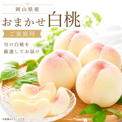 akaiwa-omakase-f2.jpg 予約受付中 岡山 白桃 おまかせ 家庭用 訳あり 岡山県産(赤磐) 白皇桃 加納岩白桃 白鳳ほか