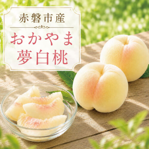akaiwa_yumehakuto5-8 予約受付中 桃 おかやま夢白桃 ゆめはくとう ギフト お中元 家庭用 訳あり 岡山県産(赤磐)