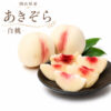 akizora-peach5-8.jpg 予約受付中 白桃 あきぞら ギフト お中元 家庭用 訳あり 約800g 3玉入り 約1.5kg 5-6玉入り 農家直送 もぎたて発送 岡山県産