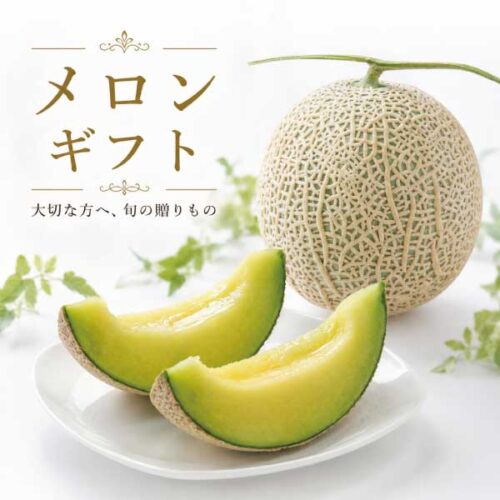 ashimori-melon-5-1.jpg メロン ギフト 足守メロン アールスメロン マスクメロン 岡山県産 糖度14度以上 農家直送
