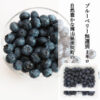 blueberry-hibish-17.jpg 送料無料 ブルーベリー 家庭用 訳あり 生果 生ブルーベリー 無選別 1パック 約250g 国産 岡山県産 フルーツ 果物 クール便