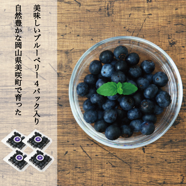 岡山県産ブルーベリー