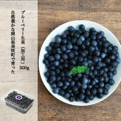imgrc0077953369.jpg ブルーベリー 加工用 家庭用 訳あり 生果 1パック 約500g 国産 岡山県産 クール便