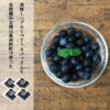 imgrc0077968971.jpg ブルーベリー 生果 ラビットアイ系 生ブルーベリー 国産 岡山県産 ギフト クール便