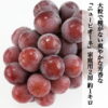 imgrc0080727531.jpg 期間限定 【送料無料】 家庭用 訳あり ニューピオーネ 1房 500g 2房 約1kg 3-4房 約2kg マスカット ぶどう 種なし ブドウ 着色に難あり 岡山県赤磐