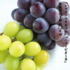 imgrc0085993900.jpg 詰め合わせ シャインマスカット ニューピオーネ セット 家庭用 訳あり ぶどう詰め合わせ 岡山県赤磐市産