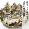 imgrc0089342131.jpg 牡蠣 殻付き 約3kg 約5kg 約10kg 日生 ひなせ カキ 日生の牡蠣 加熱用 殻付き牡蠣 瀬戸内海 産地直送