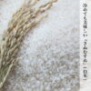 imgrc0089342681.jpg きぬむすめ 白米 精米 晴れの国 岡山県産 ふっくらもちもち 農家直送 食味ランク特A取得