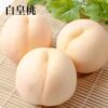 imgrc0095264104.jpg 予約受付中 白桃 白皇桃 ギフト お中元 家庭用 訳あり 約700g 3玉入り 約1.5kg 5-6玉入り 農家直送 もぎたて発送 岡山県産