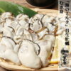 mukimi-5-1-4.jpg 日生 牡蠣 岡山 ひなせ 日生の牡蠣 むき牡蠣 むき身 加熱用 カキオコに最適 瀬戸内海