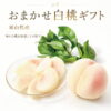omakase-tomiyoshi5_1.jpg 予約受付中 桃 白桃 おまかせ ギフト お中元 岡山県産 加納岩白桃 白鳳 大和白桃 おかやま夢白桃 川中島白桃(岡山市富吉)