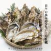 あす楽 牡蠣 殻付き 半缶 約5kg 一斗缶 約10kg 日生 ひなせ カキ 家庭用 訳あり 加熱用 瀬戸内海