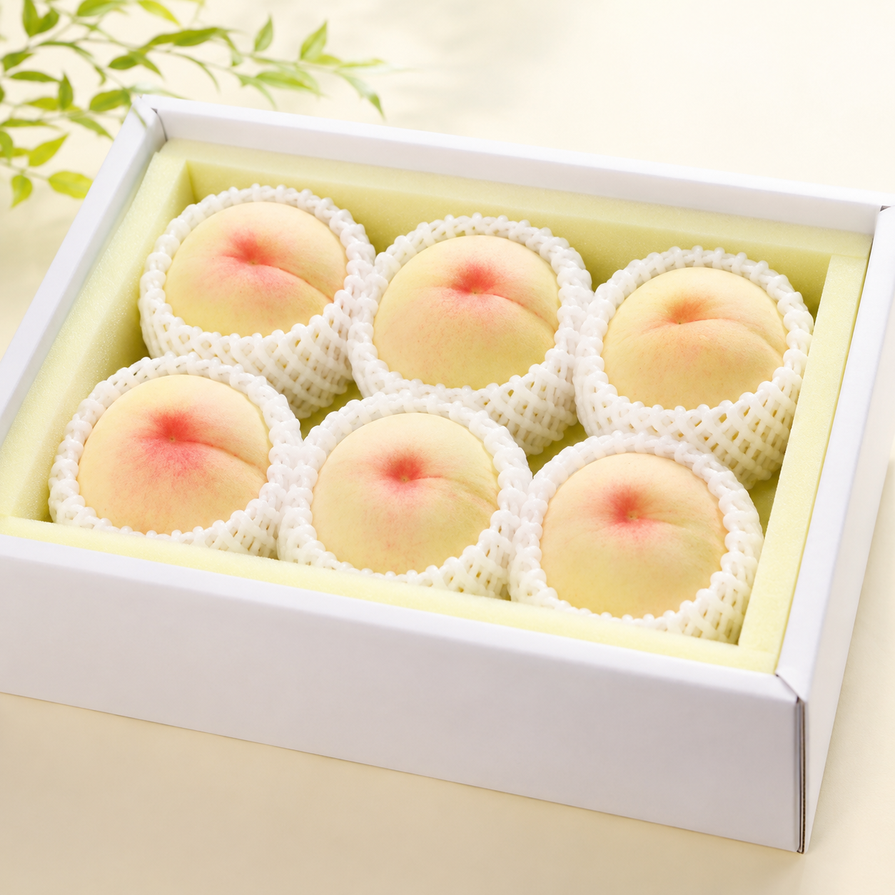清水白桃 約1.5kg 5〜6玉