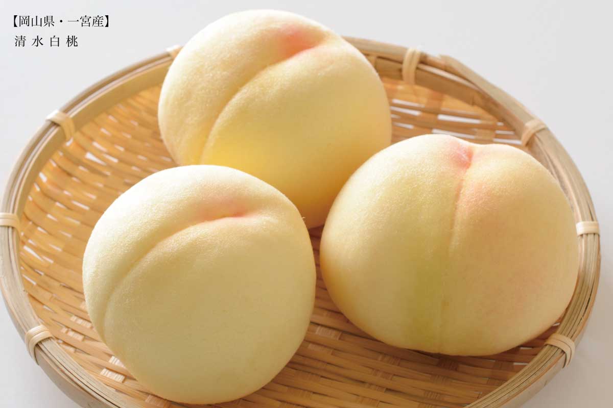 岡山県一宮産 清水白桃