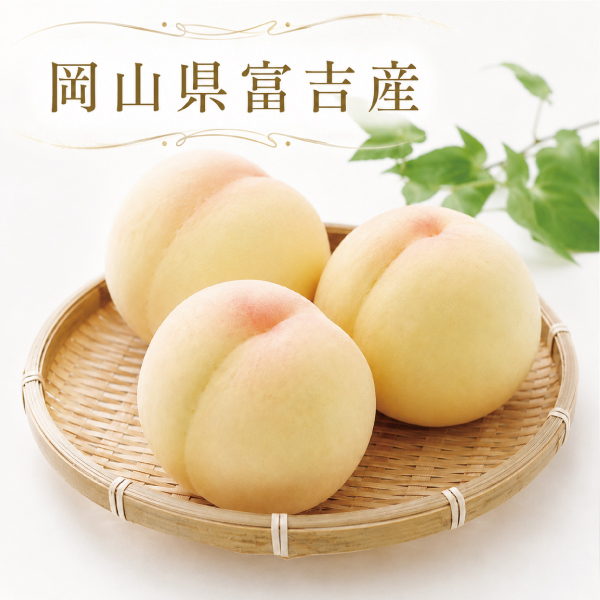 shimizupeach-tomiyoshi5-16 予約受付中 桃 白桃 お中元 ギフト 清水白桃 大玉 希少 名産品 岡山県富吉産