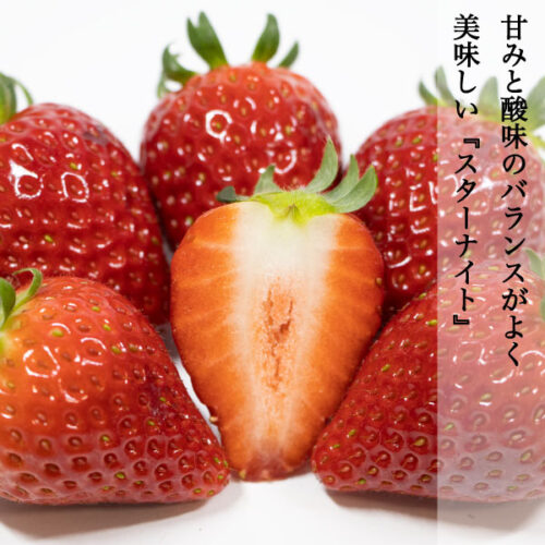 starknight5-1.jpg ギフト スターナイト 苺 いちご イチゴ 1パック15個入り 約350g strawberry 産地直送 お取り寄せ