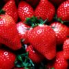 strawberry_set.jpg ギフト いちご 苺 イチゴ 食べ比べ やよいひめ おいCベリー スターナイト 1パック 12粒入り 15粒入り 約350g 晴れの国
