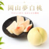 tomiyoshi_okayama_yumehakuto_5_1 予約受付中 桃 白桃 おかやま夢白桃 ギフト お中元 大玉 農家直送 もぎたて発送 岡山(富吉)