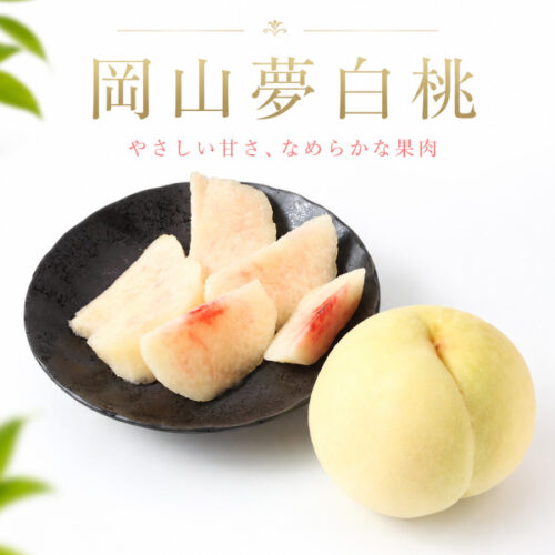 tomiyoshi_okayama_yumehakuto_5_1 予約受付中 桃 白桃 おかやま夢白桃 ギフト お中元 大玉 農家直送 もぎたて発送 岡山(富吉)