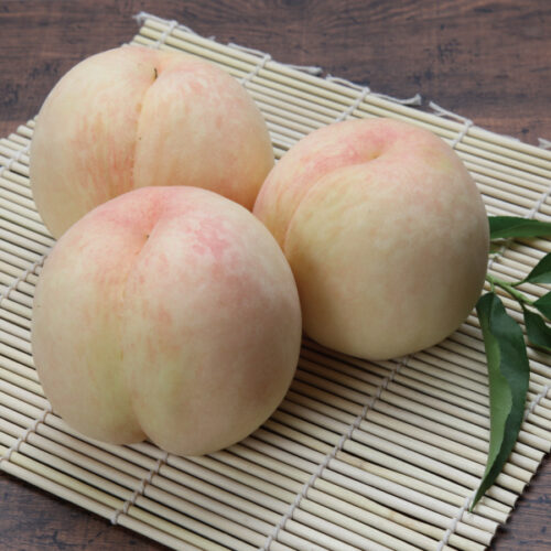 本白桃0 桃 本白桃 3玉入り 約800g〜 ギフト・家庭用 岡山県産