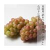 kk_akaiwa-muscat-violet-001_02 家庭用 訳あり マスカットビオレ 約1kg 2房 お試し 農家直送
