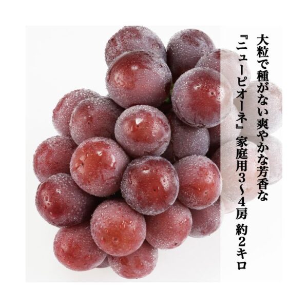 kk_akaiwa-pione-002_02 期間限定 【送料無料】 家庭用 訳あり ニューピオーネ 1房 500g 2房 約1kg 3-4房 約2kg マスカット ぶどう 種なし ブドウ 着色に難あり 岡山県赤磐