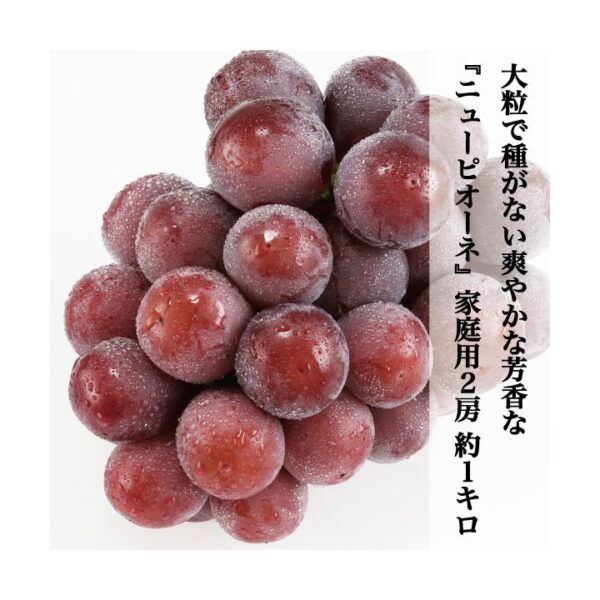 kk_akaiwa-pione-002_03 期間限定 【送料無料】 家庭用 訳あり ニューピオーネ 1房 500g 2房 約1kg 3-4房 約2kg マスカット ぶどう 種なし ブドウ 着色に難あり 岡山県赤磐