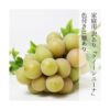 kk_akaiwa-queennina-001_02 期間限定 家庭用 訳あり クイーンニーナ 2房 約1kg 種なし 岡山県赤磐