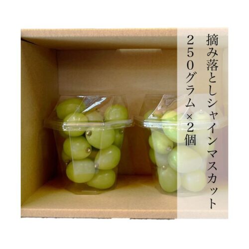 ぶどうの宝石箱 シャインマスカット 摘み落とし Mサイズ 18粒