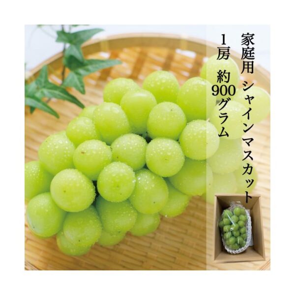 kk_akaiwa-shine-muscat-900-1_01 家庭用 シャインマスカット 1房 約900g 皮ごと 種なし 訳あり 岡山県赤磐