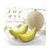 kk_ashimori-melon-15-17-001_01 メロン ギフト 足守メロン アールスメロン マスクメロン 岡山県産 糖度14度以上 農家直送