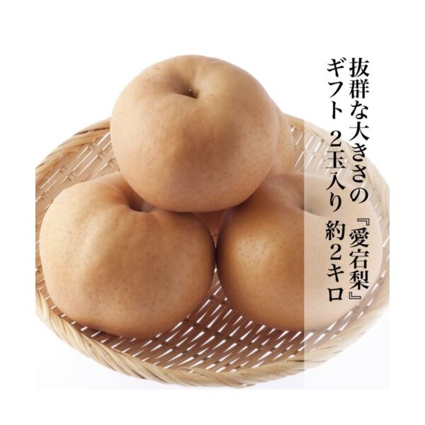 愛宕梨 あたごなし ギフト 8玉入り 約4kg 岡山