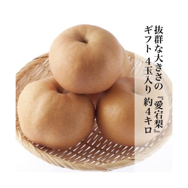 愛宕梨 あたごなし ギフト 8玉入り 約4kg 岡山