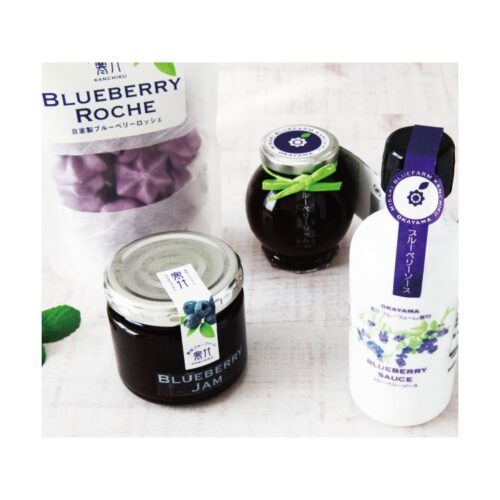 kk_blueberry-giftset-001_01 ブルーベリー加工品 ギフトセット(ジャム・ソース) 自家製 岡山県美咲町