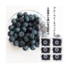 kk_blueberry-hibish-002_02 ギフト 送料無料 ブルーベリー 生果 ハイブッシュ系 生ブルーベリー 6パック 約600g 1パック 約100g 国産 岡山県産 フルーツ 果物 クール便