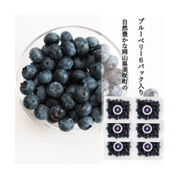 kk_blueberry-hibish-006_02 送料無料 ブルーベリー 家庭用 訳あり 生果 生ブルーベリー 無選別 1パック 約250g 国産 岡山県産 フルーツ 果物 クール便