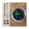 kk_blueberry-rabbiteye-gift-001_01 ブルーベリー 生果 ラビットアイ系 生ブルーベリー 国産 岡山県産 ギフト クール便