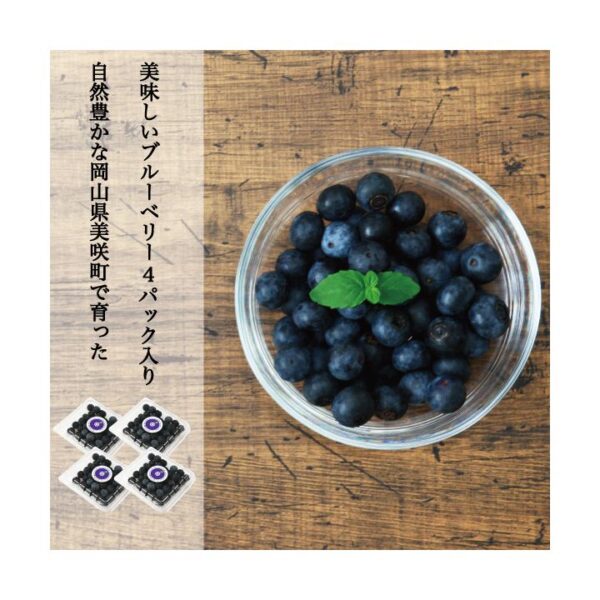 kk_blueberry-rabbiteye-gift-001_01 ブルーベリー 生果 ラビットアイ系 生ブルーベリー 国産 岡山県産 ギフト クール便