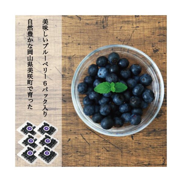 kk_blueberry-rabbiteye-gift-001_02 ブルーベリー 生果 ラビットアイ系 生ブルーベリー 国産 岡山県産 ギフト クール便