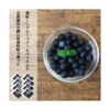 kk_blueberry-rabbiteye-gift-001_03 ブルーベリー 生果 ラビットアイ系 生ブルーベリー 国産 岡山県産 ギフト クール便