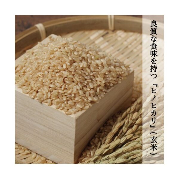 kk_hinohikari-genmai-001_03 ヒノヒカリ 玄米 1kg〜30kg 岡山県産 農家直送