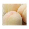 kk_kawanakajima-peach-003_01 予約受付中 桃 白桃 川中島白桃 ギフト お中元 約5-6玉 約1.5kg 甘い 少し固め 岡山県産 取り寄せ 岡山市富吉 送料無料 8月上旬ごろから発送予定