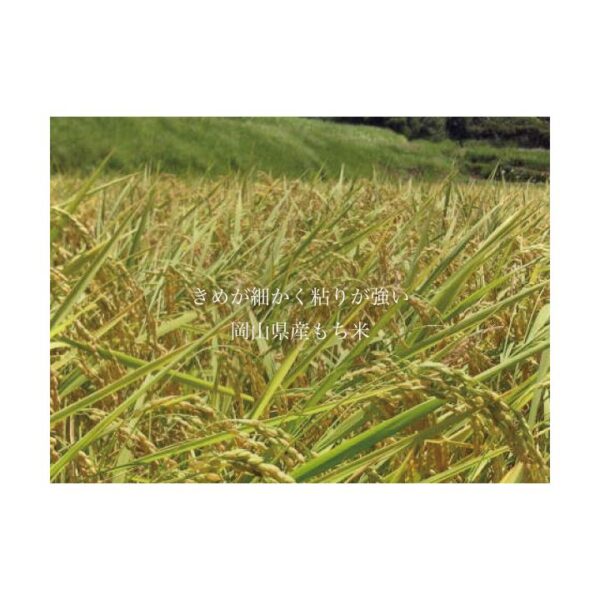 kk_mochi-rice-003_02 送料無料 もち米 晴れの国岡山 ヒヨクモチ 岡山のもち米 約27kg 農家直送