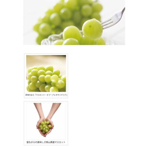 kk_muscat-of-alexandria-004_01 ギフト 特秀3-4房 マスカット・オブ・アレキサンドリア 約2kg 本場岡山 農家直送