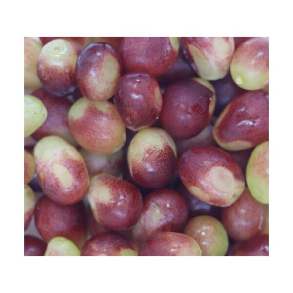 kk_muscat-violet-001_01 マスカットビオレ 本場岡山 約800g以上 予約販売 農家直送