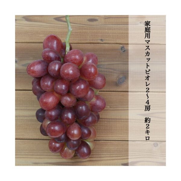 kk_muscat-violet-001_03 マスカットビオレ 本場岡山 約800g以上 予約販売 農家直送