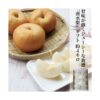 kk_nansui-pear-001_02 ギフト 南水梨 梨 4kg 6-8玉入り 数量限定 農家直送