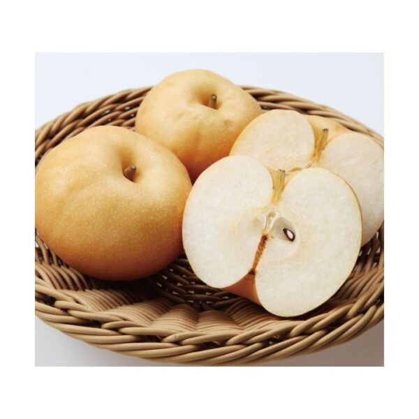 kk_nansui-pear-002_01 家庭用 南水梨 梨 約4kg 約10玉前後 数量限定 農家直送