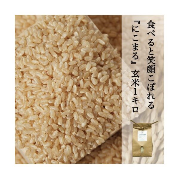 米 玄米 にこまる 笑顔こぼれるお米 ふっくらつやつや もちもちの食感 岡山県産